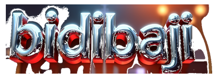 bidibaji logo